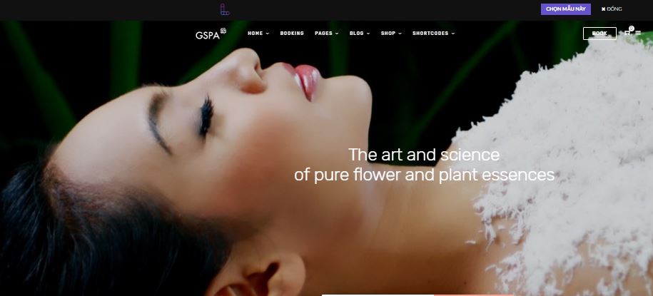 mẫu thiết kế web spa - thẩm mỹ viện