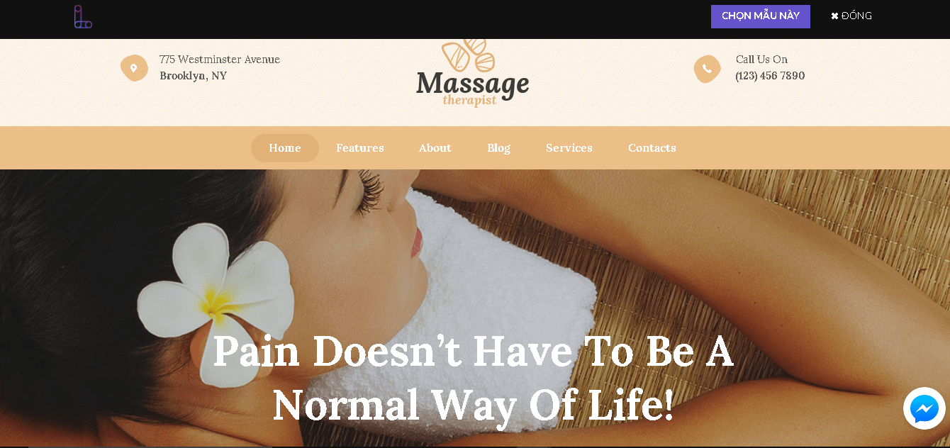 mẫu thiết kế website Spa – Thẩm mỹ viện 2