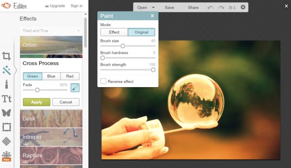 phần mềm chỉnh sửa ảnh online PicMonkey
